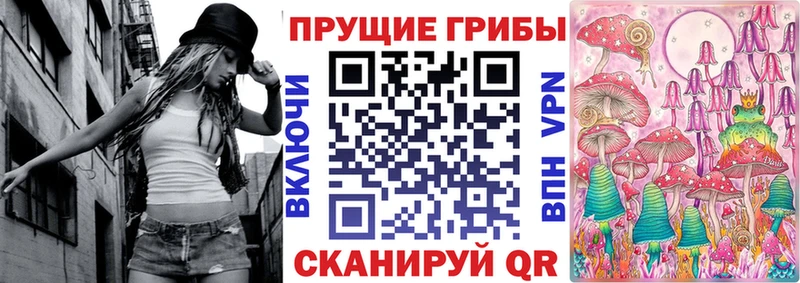 Псилоцибиновые грибы Psilocybe  Купить  Нальчик 